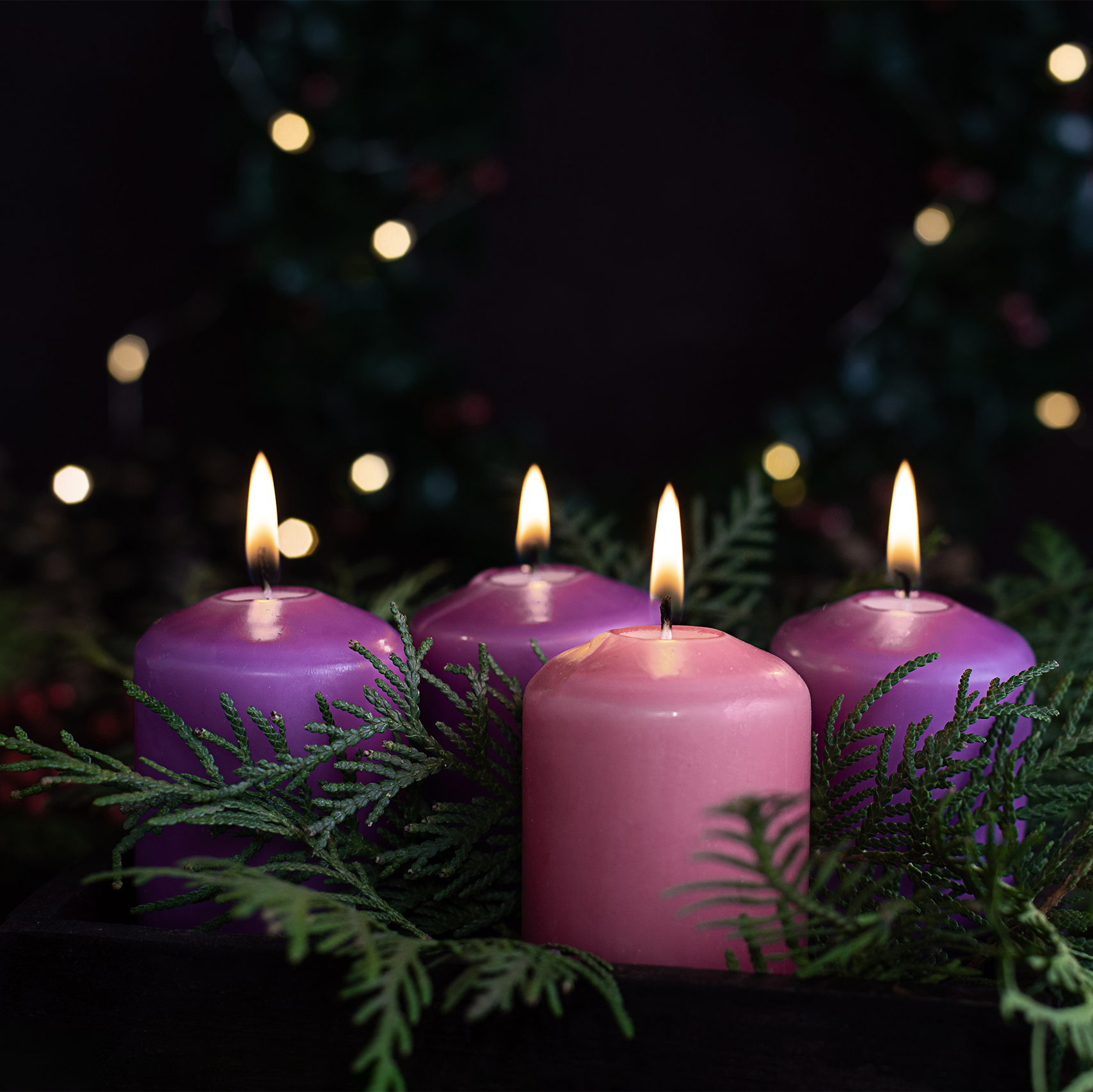 Featured image for “Embrace the Spirit of Advent: Two Free Resources for Catholic Families”